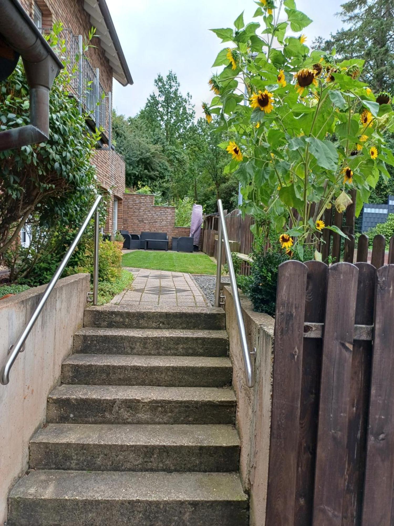 Apartamento Mila Mechernich Exterior foto
